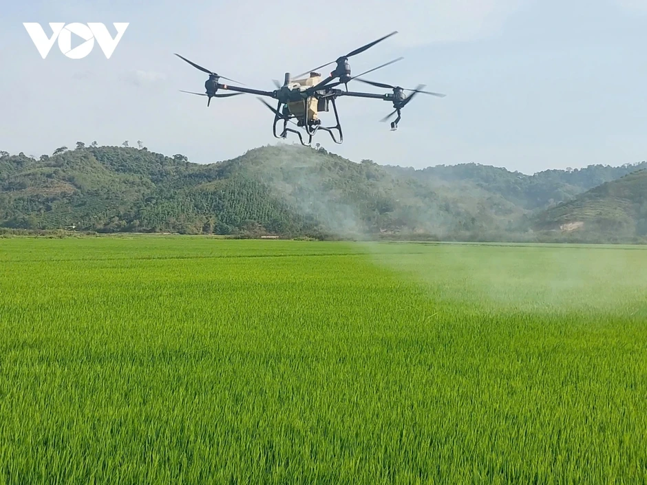 Từ “rốn hạn” đến cánh đồng công nghệ cao: Nông dân Đắk Lắk nâng tầm hạt gạo Từ “rốn hạn” đến cánh đồng công nghệ cao: Nông dân Đắk Lắk nâng tầm hạt gạo