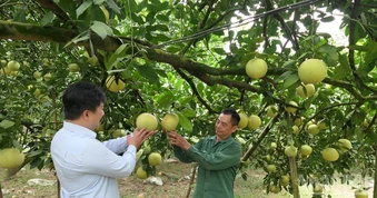 Tuyên Quang phấn đấu giảm tỷ lệ hộ nghèo đa chiều bình quân hơn 3%/năm