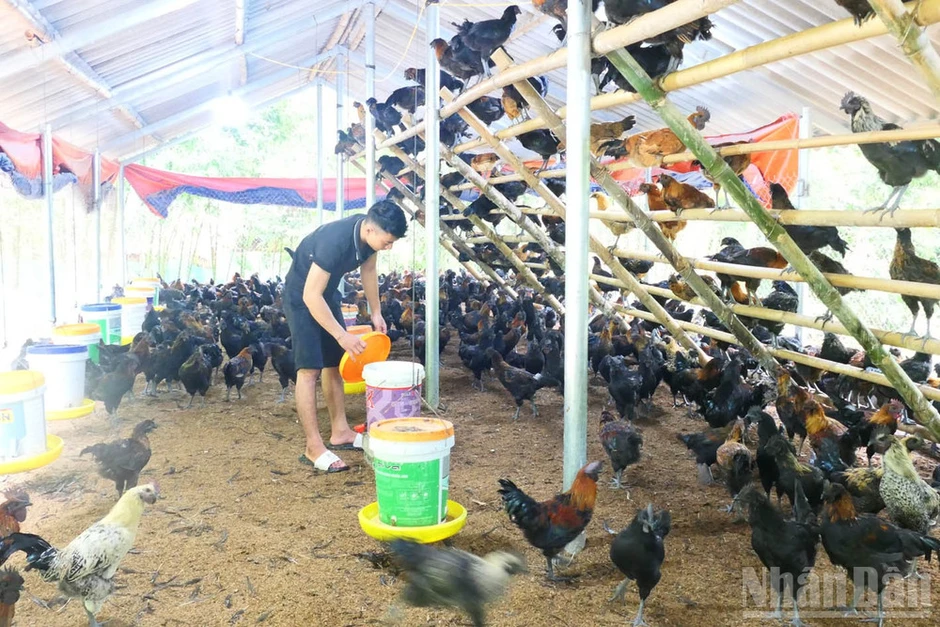 Tuyên Quang phấn đấu giảm tỷ lệ hộ nghèo đa chiều bình quân hơn 3%/năm