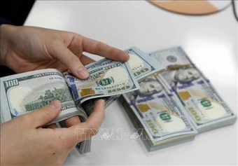 Tỷ giá hôm nay 12/5: Đồng USD duy trì đà đi lên