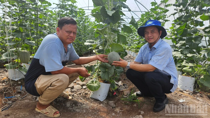 Ứng dụng công nghệ cao, nâng tầm giá trị nông sản sạch Ứng dụng công nghệ cao, nâng tầm giá trị nông sản sạch