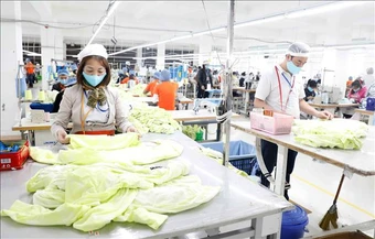 Ứng dụng công nghệ nâng tầm giá trị dệt may và da giày Việt Nam
