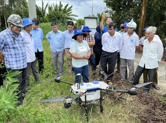 Ứng dụng số giúp nông dân làm giàu từ 'cánh đồng thông minh'