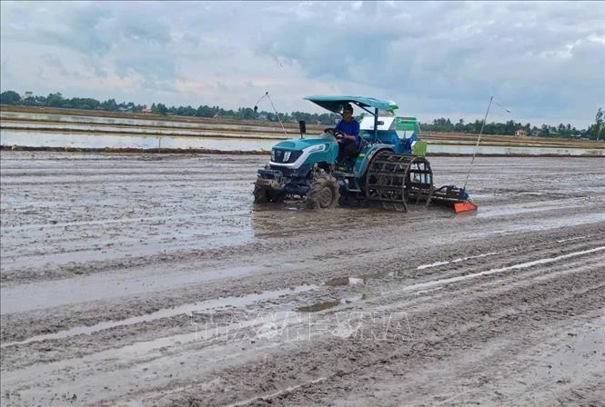 Ứng dụng số giúp nông dân làm giàu từ 'cánh đồng thông minh'