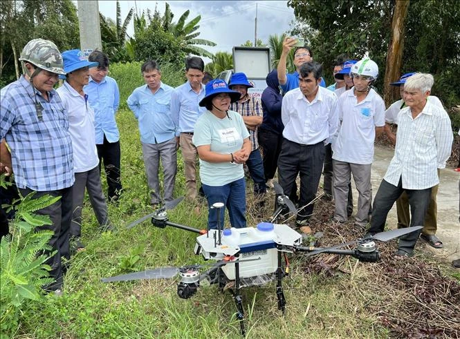 Ứng dụng số giúp nông dân làm giàu từ 'cánh đồng thông minh'