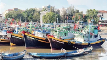 Ứng phó với giá nhiên liệu