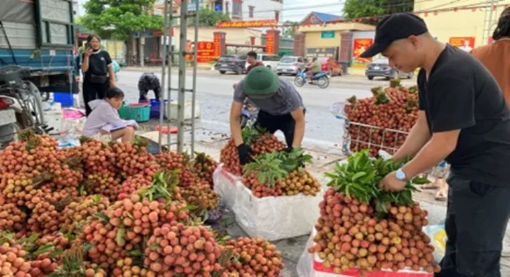Vải thiều Bắc Ninh đẩy mạnh thị trường tiêu thụ nâng cao hiệu quả doanh thu