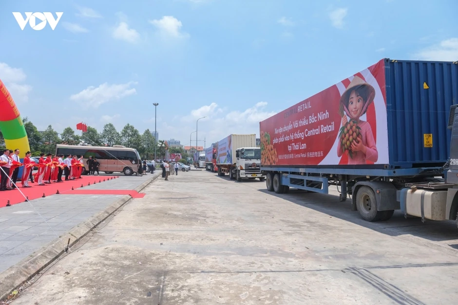 Vải thiều Bắc Ninh khẳng định thương hiệu trên thị trường quốc tế Vải thiều Bắc Ninh khẳng định thương hiệu trên thị trường quốc tế
