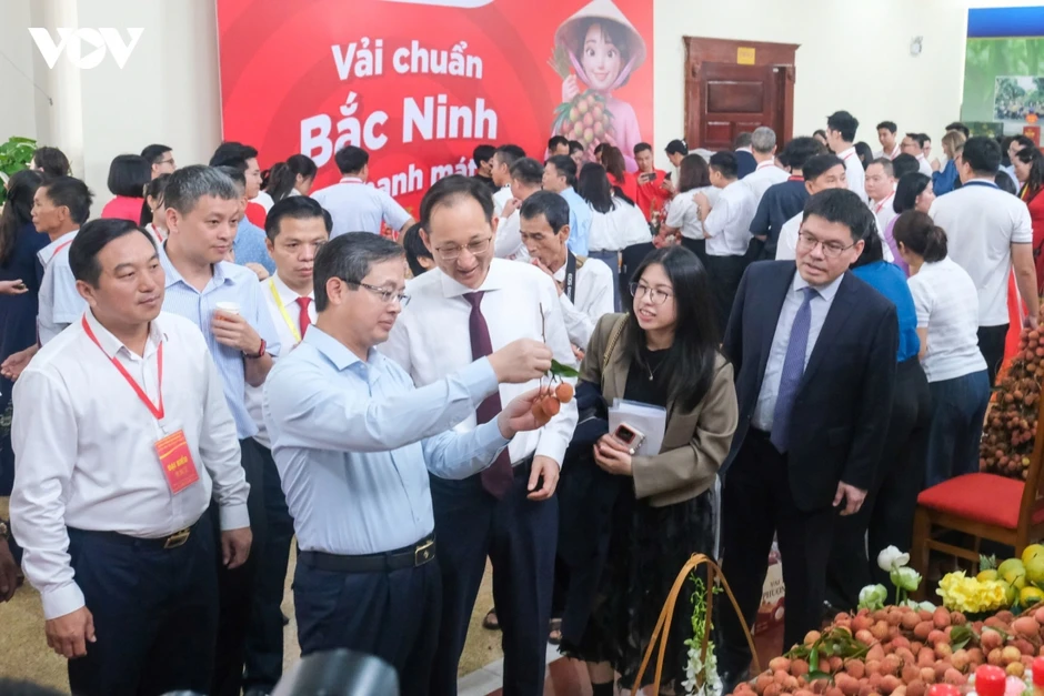 Vải thiều Bắc Ninh khẳng định thương hiệu trên thị trường quốc tế Vải thiều Bắc Ninh khẳng định thương hiệu trên thị trường quốc tế