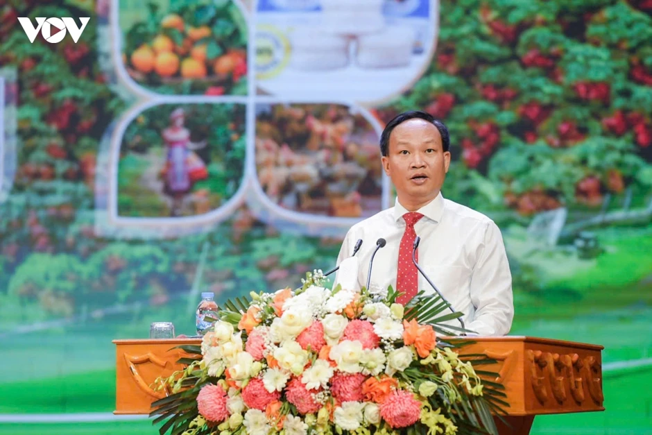 Vải thiều Bắc Ninh khẳng định thương hiệu trên thị trường quốc tế Vải thiều Bắc Ninh khẳng định thương hiệu trên thị trường quốc tế