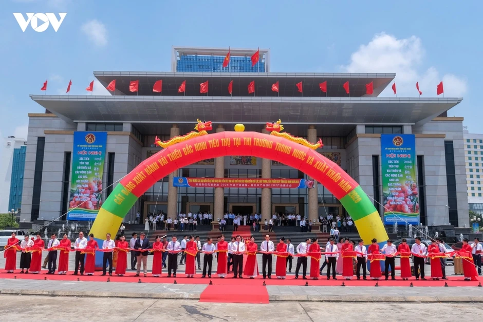 Vải thiều Bắc Ninh khẳng định thương hiệu trên thị trường quốc tế Vải thiều Bắc Ninh khẳng định thương hiệu trên thị trường quốc tế