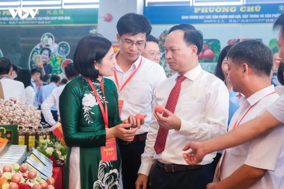 Vải thiều Bắc Ninh khẳng định thương hiệu trên thị trường quốc tế Vải thiều Bắc Ninh khẳng định thương hiệu trên thị trường quốc tế