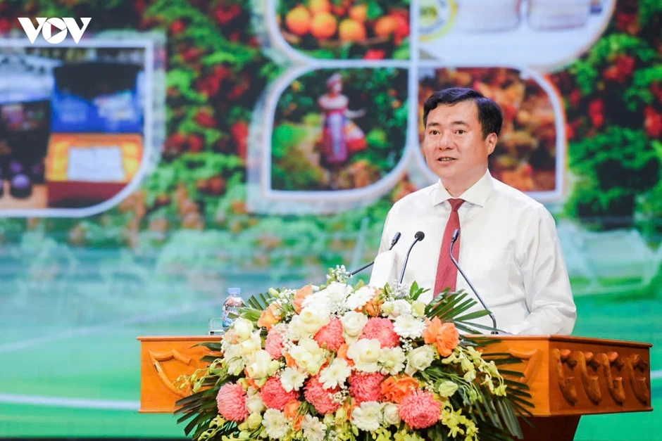 Vải thiều Bắc Ninh khẳng định thương hiệu trên thị trường quốc tế Vải thiều Bắc Ninh khẳng định thương hiệu trên thị trường quốc tế