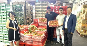 Vải thiều tươi đầu vụ của Việt Nam chinh phục thị trường Hoa Kỳ