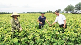 Vai trò khuyến nông trong mô hình chính quyền mới