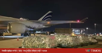 Vận chuyển gần 100 tấn rau quả tươi từ Việt Nam sang UAE bằng máy bay