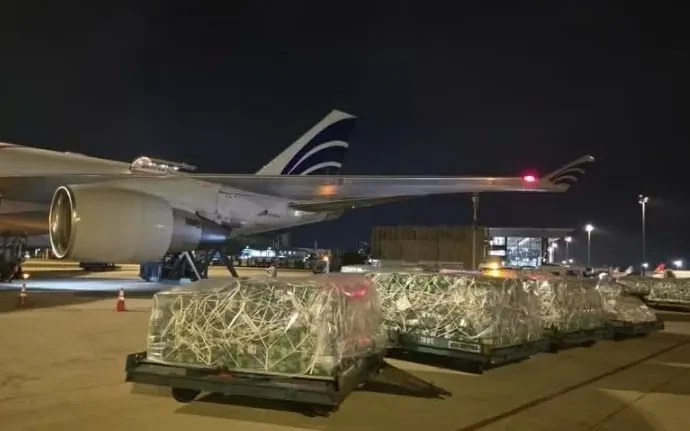 Vận chuyển gần 100 tấn rau quả tươi từ Việt Nam sang UAE bằng máy bay