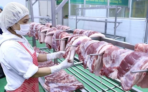 Vận hành sàn giao dịch thịt lợn từ cuối tháng 4 Vận hành sàn giao dịch thịt lợn từ cuối tháng 4