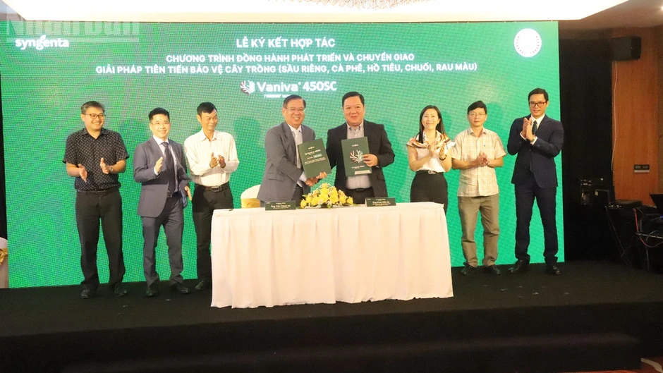Vaniva® 450SC - giải pháp cho bệnh vàng lá thối rễ ở cây trồng Vaniva® 450SC - giải pháp cho bệnh vàng lá thối rễ ở cây trồng