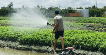 Vì sao 1 tấn lúa sử dụng gần 5.000 mét khối nước?