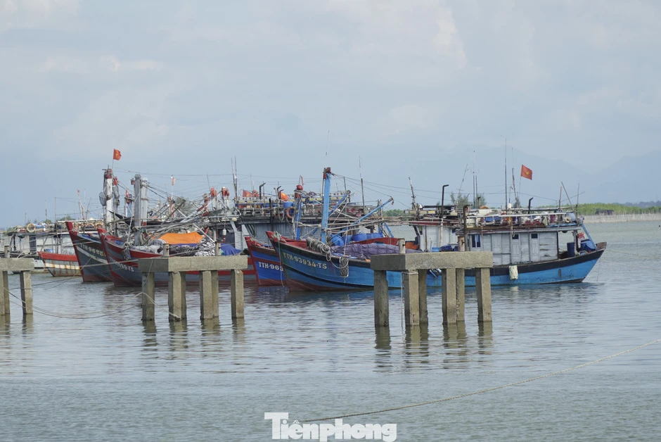 Vì sao tàu cá tại Huế nằm bờ hàng loạt? Vì sao tàu cá tại Huế nằm bờ hàng loạt?