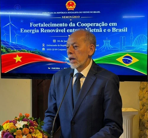 Việt Nam-Brazil tăng cường hợp tác trong lĩnh vực năng lượng tái tạo Việt Nam-Brazil tăng cường hợp tác trong lĩnh vực năng lượng tái tạo