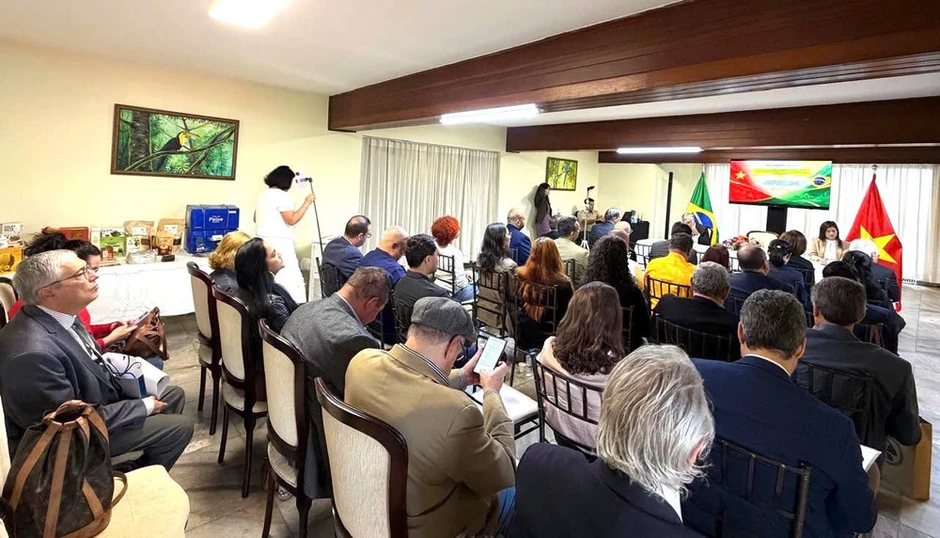 Việt Nam-Brazil thúc đẩy hợp tác kinh tế thực chất, hiệu quả, cân bằng và bền vững Việt Nam-Brazil thúc đẩy hợp tác kinh tế thực chất, hiệu quả, cân bằng và bền vững