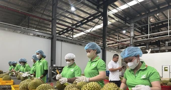 Việt Nam chia sẻ thông tin hệ thống truy xuất nguồn gốc nông sản với Trung Quốc