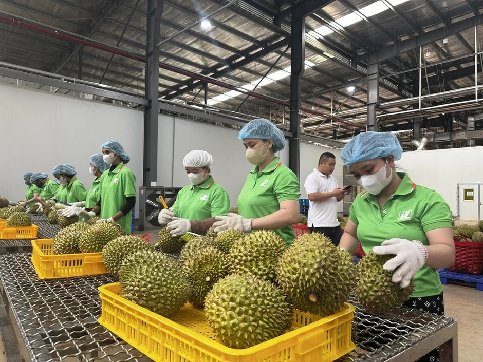 Việt Nam chia sẻ thông tin hệ thống truy xuất nguồn gốc nông sản với Trung Quốc