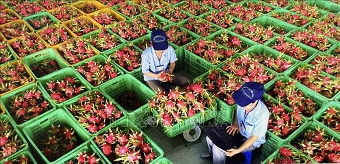 Việt Nam chia sẻ thông tin hệ thống truy xuất nguồn gốc nông sản