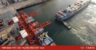Việt Nam có nhiều cơ hội từ tái cấu trúc thương mại toàn cầu