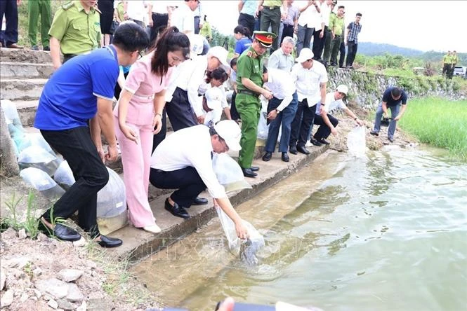 Việt Nam đa dạng cơ chế tài chính cho bảo tồn thiên nhiên Việt Nam đa dạng cơ chế tài chính cho bảo tồn thiên nhiên