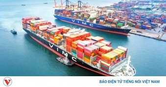 Việt Nam góp 51% vốn làm siêu cảng Cần Giờ, là trung tâm trung chuyển quốc tế