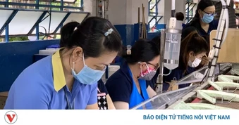 Việt Nam không sản xuất dư thừa công suất và không sử dụng lao động cưỡng bức