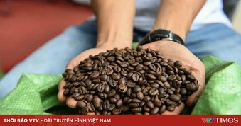 Việt Nam là nguồn cung cà phê lớn thứ hai cho Nhật Bản