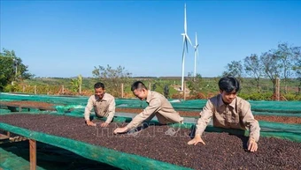 Việt Nam - New Zealand: Mở rộng dư địa cho những động lực tăng trưởng mới