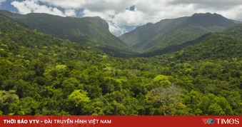 Việt Nam nhận gần 72 triệu USD hỗ trợ tài chính xanh