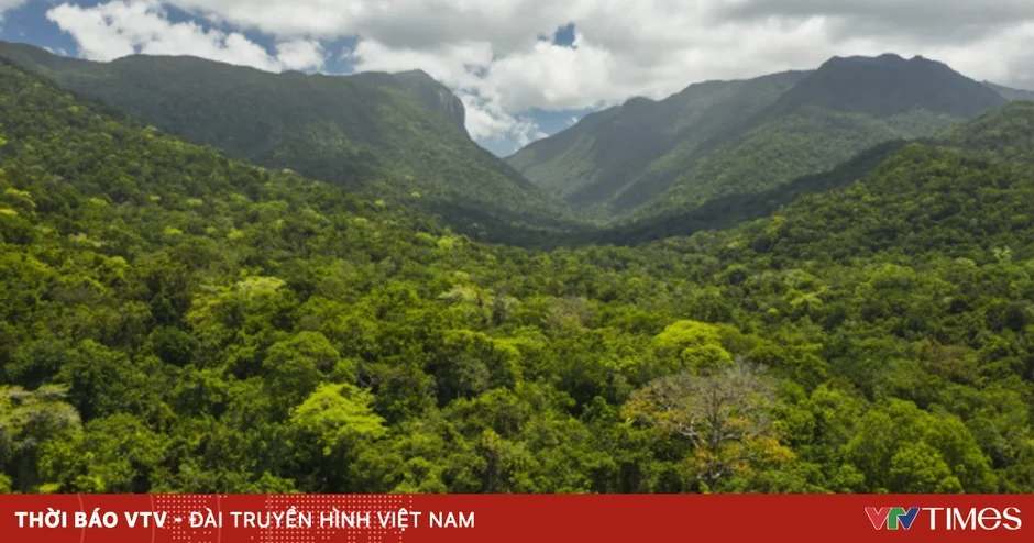Việt Nam nhận gần 72 triệu USD hỗ trợ tài chính xanh Việt Nam nhận gần 72 triệu USD hỗ trợ tài chính xanh