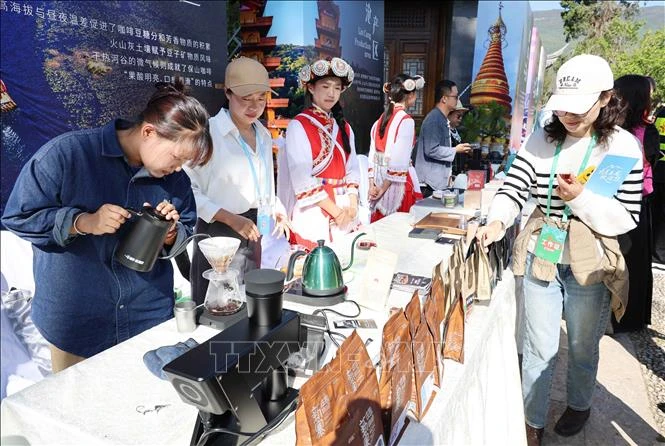 Việt Nam-Trung Quốc tăng cường hợp tác cà phê, mở ra cơ hội mới tại Vân Nam Việt Nam-Trung Quốc tăng cường hợp tác cà phê, mở ra cơ hội mới tại Vân Nam