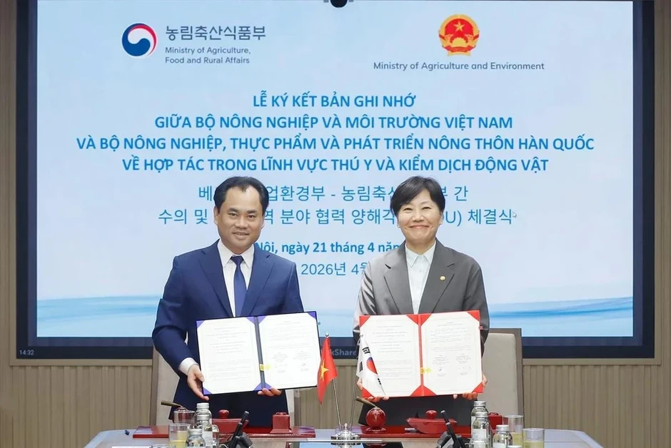 Việt Nam và Hàn Quốc mở cửa thị trường thịt gà chế biến Việt Nam và Hàn Quốc mở cửa thị trường thịt gà chế biến