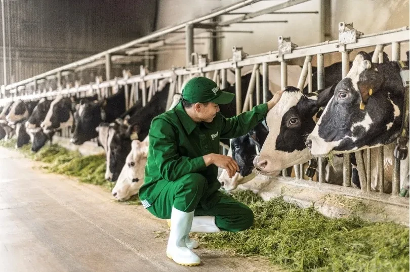 Vinamilk: 50 năm nâng chuẩn để cùng giải những “bài toán” dinh dưỡng, góp phần phát triển đất nước Vinamilk: 50 năm nâng chuẩn để cùng giải những “bài toán” dinh dưỡng, góp phần phát triển đất nước