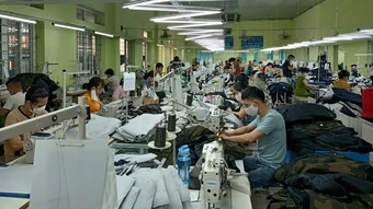 Vinatex đạt doanh thu hơn 15,5 nghìn tỷ đồng