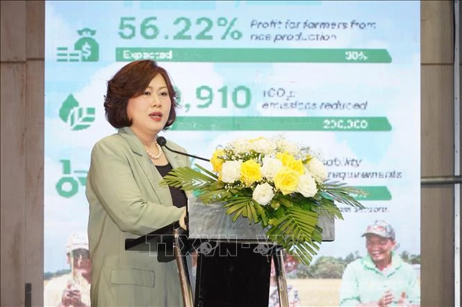 Vinh danh 10 doanh nghiệp tiêu biểu liên kết sản xuất lúa giảm phát thải Vinh danh 10 doanh nghiệp tiêu biểu liên kết sản xuất lúa giảm phát thải