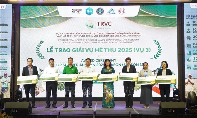 Vinh danh 10 doanh nghiệp tiêu biểu liên kết sản xuất lúa giảm phát thải Vinh danh 10 doanh nghiệp tiêu biểu liên kết sản xuất lúa giảm phát thải