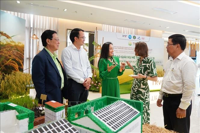 Vinh danh 10 doanh nghiệp tiêu biểu liên kết sản xuất lúa giảm phát thải Vinh danh 10 doanh nghiệp tiêu biểu liên kết sản xuất lúa giảm phát thải