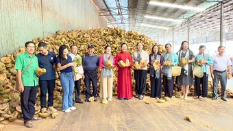 Vĩnh Long đẩy nhanh tiến độ chuẩn bị Hội thảo quốc tế ngành dừa-CocoNext 2026