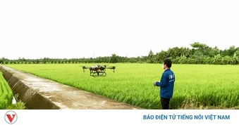 Vĩnh Long nâng cao giá trị nông sản bằng công nghệ và mã số vùng trồng