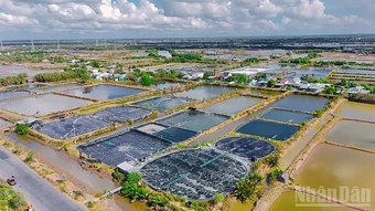 Vĩnh Long phát huy lợi thế kinh tế biển