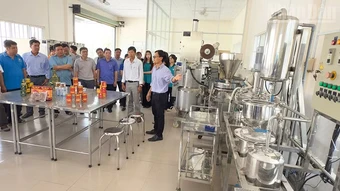 Vĩnh Long tập huấn quy trình chế biến các sản phẩm từ cam sành
