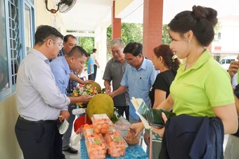Vĩnh Long thí điểm phát triển chuỗi giá trị ngành hàng mít